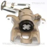 Bremssattel TRISCAN 8175 50216