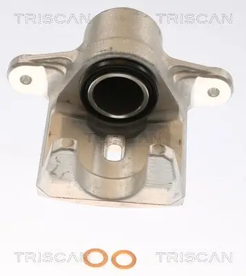 Bremssattel TRISCAN 8175 68206
