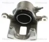 Bremssattel TRISCAN 8175 69101