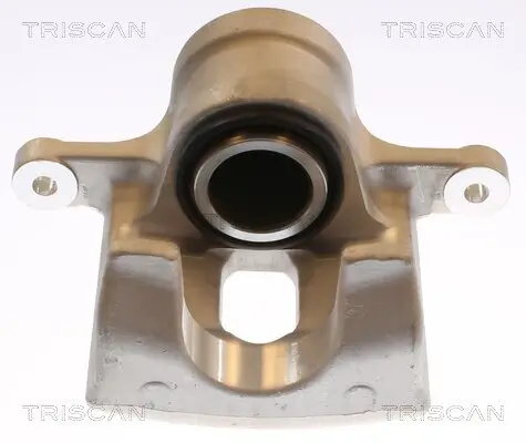 Bremssattel TRISCAN 8175 69102