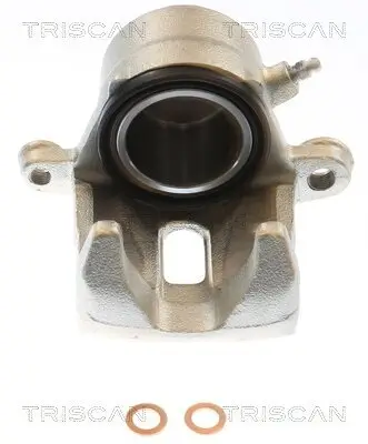Bremssattel TRISCAN 8175 69107