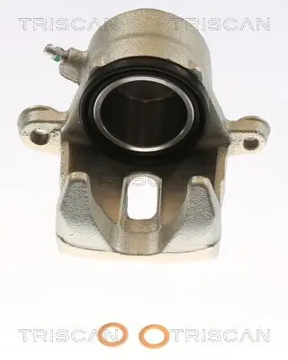 Bremssattel TRISCAN 8175 69108