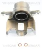 Bremssattel TRISCAN 8175 69111