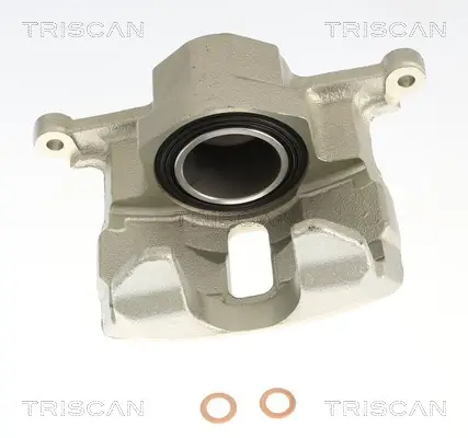 Bremssattel TRISCAN 8175 69120