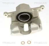 Bremssattel TRISCAN 8175 69120