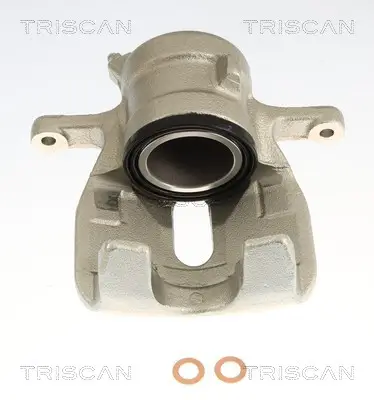 Bremssattel TRISCAN 8175 69123