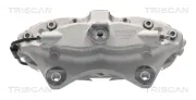 Bremssattel Hinterachse links TRISCAN 8175 81201