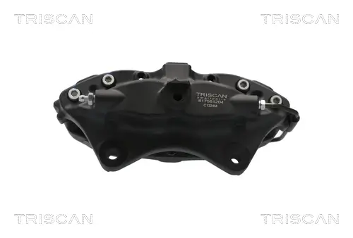 Bremssattel Hinterachse rechts TRISCAN 8175 81204