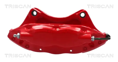 Bremssattel Hinterachse rechts TRISCAN 8175 81206