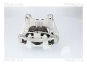 Bremssattel Hinterachse links TRISCAN 8175 82203