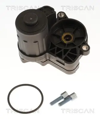 Bremssattel Hinterachse links TRISCAN 8175 82211