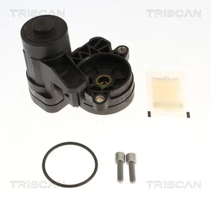 Bremssattel Hinterachse rechts TRISCAN 8175 82212