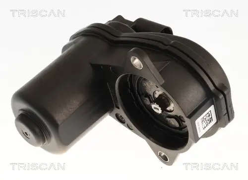 Bremssattel TRISCAN 8175 82213