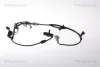 Sensor, Raddrehzahl TRISCAN 8180 13161