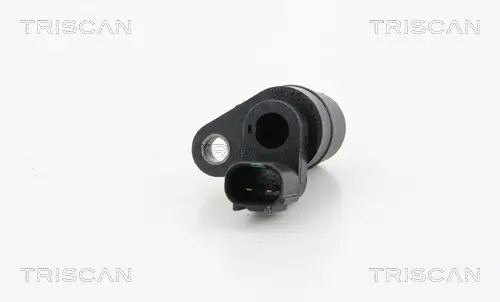 Sensor, Raddrehzahl TRISCAN 8180 13373