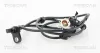 Sensor, Raddrehzahl TRISCAN 8180 13378