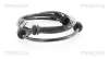 Sensor, Raddrehzahl Vorderachse TRISCAN 8180 14101