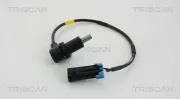 Sensor, Raddrehzahl TRISCAN 8180 21227