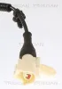 Sensor, Raddrehzahl TRISCAN 8180 80213 Bild Sensor, Raddrehzahl TRISCAN 8180 80213