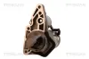Starter 12 V 1 kW TRISCAN 8305 10081
