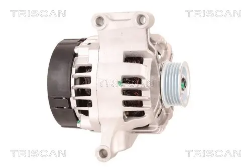 Generator 14 V TRISCAN 8310 10001 Bild Generator 14 V TRISCAN 8310 10001