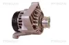 Generator 14 V TRISCAN 8310 10006 Bild Generator 14 V TRISCAN 8310 10006