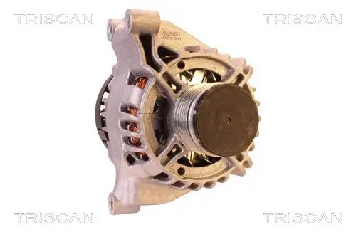 Generator 14 V TRISCAN 8310 10009 Bild Generator 14 V TRISCAN 8310 10009