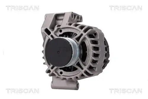 Generator 14 V TRISCAN 8310 10012 Bild Generator 14 V TRISCAN 8310 10012