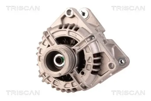 Generator 14 V TRISCAN 8310 10021