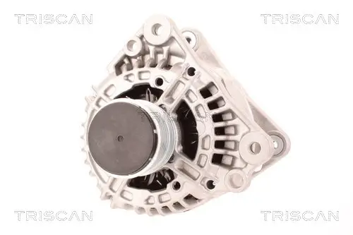 Generator 14 V TRISCAN 8310 10026