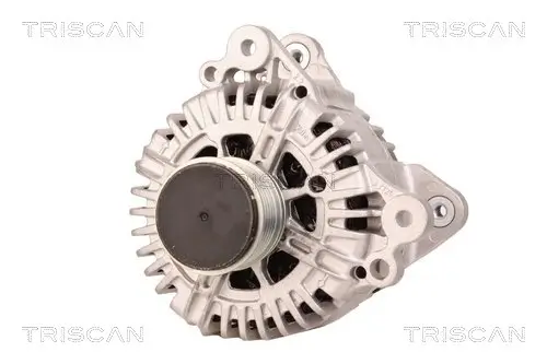 Generator 14 V TRISCAN 8310 10031