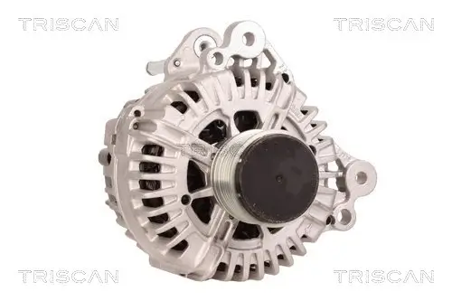 Generator 14 V TRISCAN 8310 10031 Bild Generator 14 V TRISCAN 8310 10031