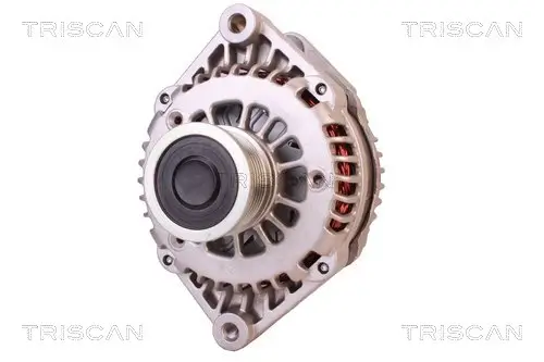 Generator 14 V TRISCAN 8310 10038