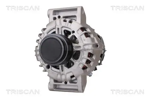 Generator 14 V TRISCAN 8310 10041