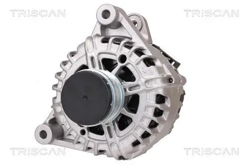 Generator 14 V TRISCAN 8310 10042