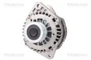 Generator 14 V TRISCAN 8310 10048