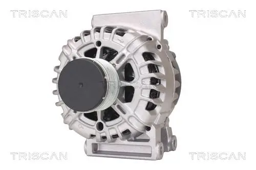 Generator 14 V TRISCAN 8310 10050