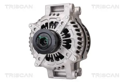 Generator 12 V TRISCAN 8310 10054 Bild Generator 12 V TRISCAN 8310 10054