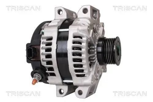 Generator 12 V TRISCAN 8310 10054 Bild Generator 12 V TRISCAN 8310 10054