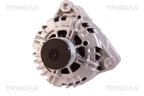 Generator 14 V TRISCAN 8310 10057