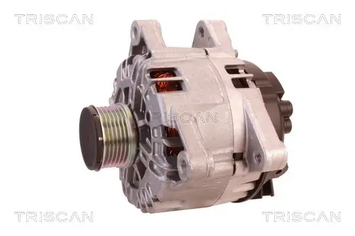 Generator 14 V TRISCAN 8310 10058 Bild Generator 14 V TRISCAN 8310 10058
