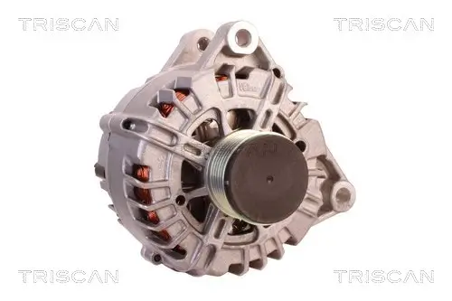 Generator 14 V TRISCAN 8310 10058 Bild Generator 14 V TRISCAN 8310 10058