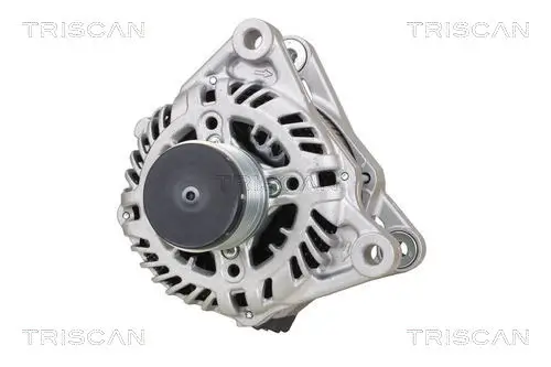 Generator 14 V TRISCAN 8310 10059
