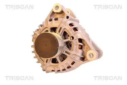 Generator 14 V TRISCAN 8310 10062 Bild Generator 14 V TRISCAN 8310 10062