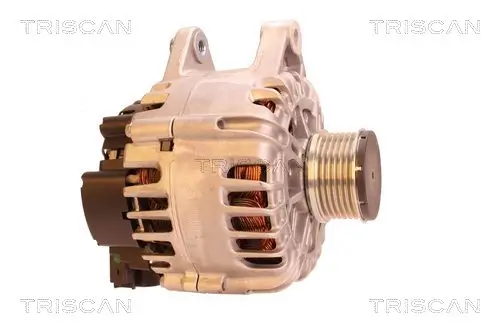 Generator 14 V TRISCAN 8310 10062 Bild Generator 14 V TRISCAN 8310 10062