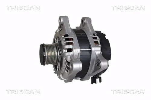 Generator 12 V TRISCAN 8310 10063 Bild Generator 12 V TRISCAN 8310 10063