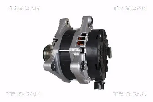 Generator 12 V TRISCAN 8310 10063 Bild Generator 12 V TRISCAN 8310 10063