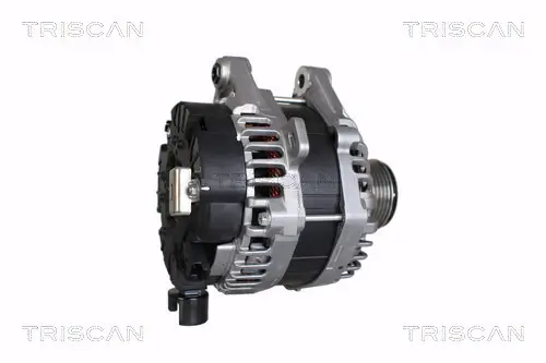 Generator 12 V TRISCAN 8310 10063 Bild Generator 12 V TRISCAN 8310 10063