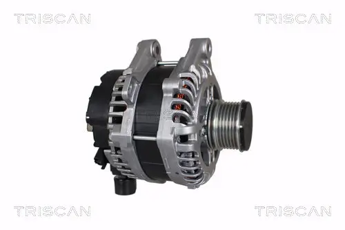 Generator 12 V TRISCAN 8310 10063 Bild Generator 12 V TRISCAN 8310 10063