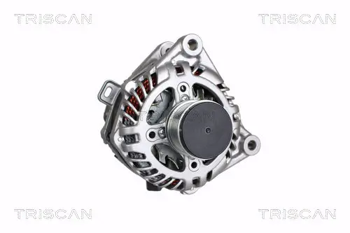 Generator 12 V TRISCAN 8310 10063 Bild Generator 12 V TRISCAN 8310 10063